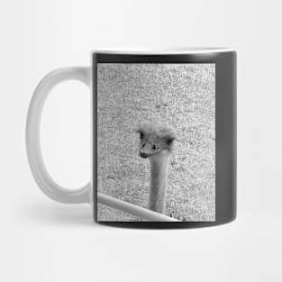 Peeping Ostrich Mug